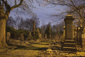 undercliffe jan 17 2011 image 3 sm.jpg